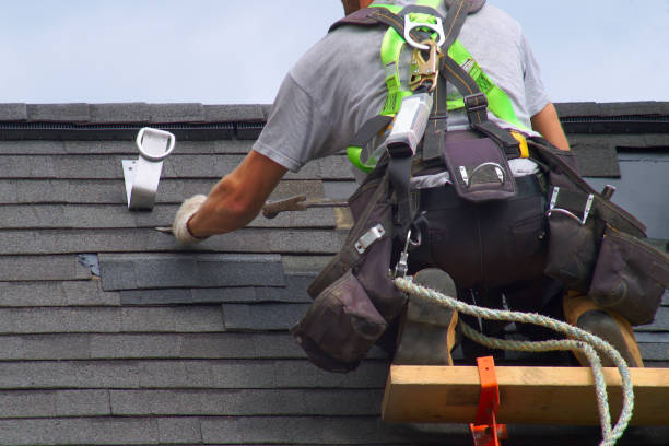Best Storm Damage Roof Repair  in Remsen, IA
