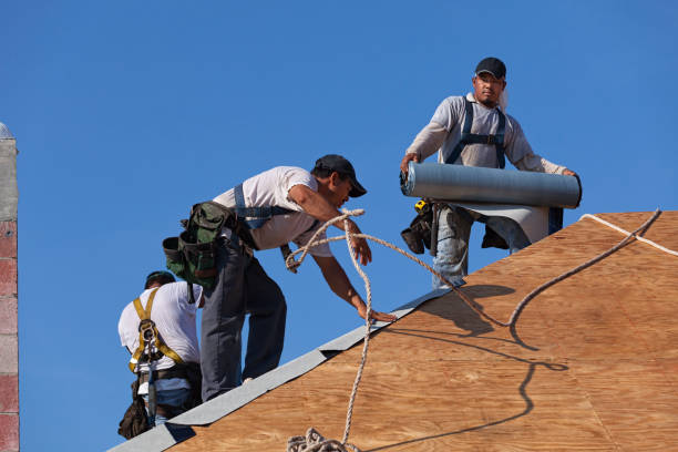 Best Flat Roof Repair Services  in Remsen, IA